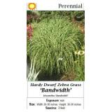 2 Ornamental Zebra Bandwidth Grass Plants