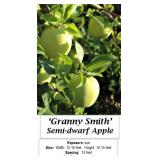 2 Granny Smith Apple Trees