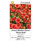 4 Dwarf Red Mesa Blanket Flower Plants