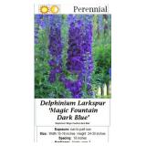 5 Dark Blue Magic Fountians Delphinum Larkspur Pla