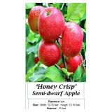 Apple Tree Orchard Collection