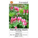 4 Bleeding Hearts Plants