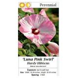 10 Hardy Color Assortment Luna Dinner Plate Hibisc