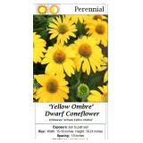 5 Dwarf Yellow Ombre Coneflower Plants
