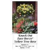 Yellow Easy Bee-Zy Knock Out Rose Tree