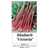 4 Red Victoria Rhubarb Plants