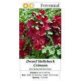 4 Crimson Red Double Hollyhock Plants