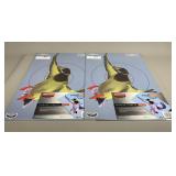 Birchwood Casey Pregame Targets 12"x18ï¿½