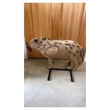 Rinehart Coyote Target