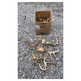 Box of Deer Antlers