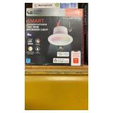 Sart Indoor/Outdoor LED Trim Recessed Light