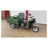 IRET13 New ELECTRIC TRICYCLE Green