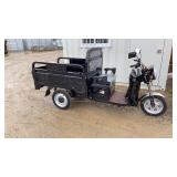 IRET13 New ELECTRIC TRICYCLE Color Black