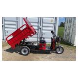IRET13 New ELECTRIC TRICYCLE RED