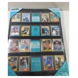 Baseball Collector Card Wall Display