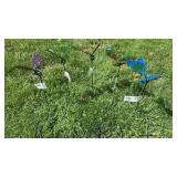 5 15" Decretive Garden/Pot Stakes