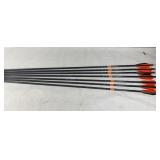 Robin Hood Arrows