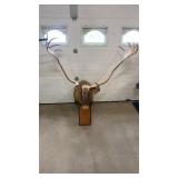 Caribou Taxidermy Mount
