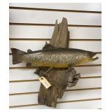 Brown Trout Taxidermy
