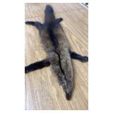Fisher Cat Pelt