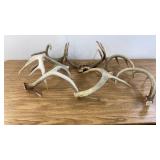 Assortment of Deer Sheds