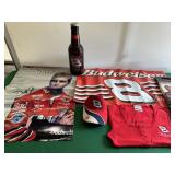 Dale Earnhardt Jr Posters, T Shirt, Hat, Cooler