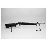 Ruger 10-22 .22 Cal Stainless