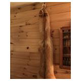 Red Fox Fur With Tail