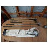 Softball Bat & Golf Clubs