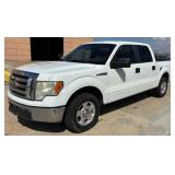 (TX) 2010 Ford F-150
