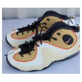 (TX) Nike Air Shoes