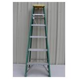 (TX) Green Ladder