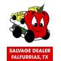 Apple Towing (TX SALVAGE) online auction 2/3/2026