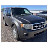 (AZ) 2010 Ford Escape