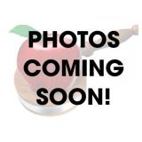 (IL) 2020 Chevrolet Express 3500