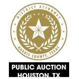 Practice Bidding