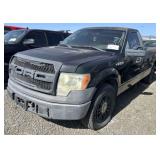 (CA) 2009 Ford F-150