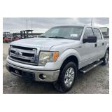 (CA) 2013 Ford F-150