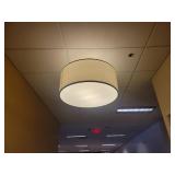 Round Modern Light - Will Need Removed From Ceiling