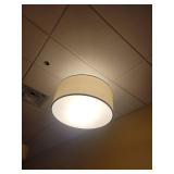 Round Modern Light - Will Need Removed From Ceiling