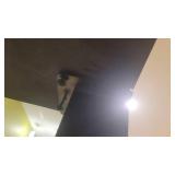 Large Break Room Eating Table