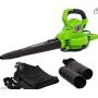 Greenworks 12 Amp Corded 2-Speed Leaf Blower/Vacuum 270MPH-400CFM BLV12B00