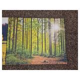 Autumn Forest Path Landscape Photography Print