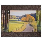 Autumn Forest Path Landscape Photography Print