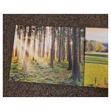 Autumn Forest Path Landscape Photography Print
