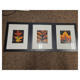 (3) Autumn Leaf Photography Triptych in Black Frames