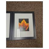 (3) Autumn Leaf Photography Triptych in Black Frames