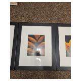 (3) Autumn Leaf Photography Triptych in Black Frames