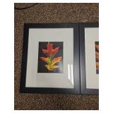 (3) Autumn Leaf Photography Triptych in Black Frames