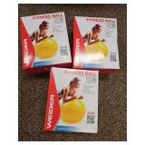 (3) Weider 55cm Exercise Fitness Ball
